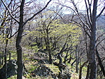 Sziklák