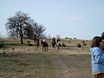 Lovasok