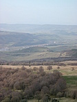 Fenyéd