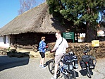 Múzeum