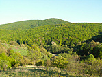 Kilátás az egyik dombról Óbánya határában