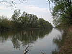 A Rába Győrnél