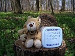 Brumi a ládával (2007.03.31.)
