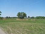 Füves-fás puszta