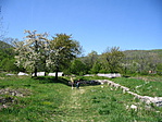 A romoknál