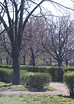Parkrészlet