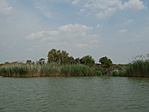 Ládafa