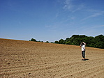 visszafelé