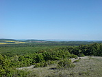 kilátás a balatonra