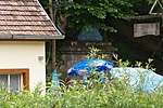 ojektum