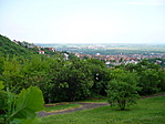 Kilátás 1.