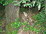 A cache