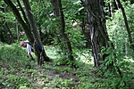 Robi