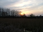 Naplemente