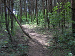 Ösvény a ládához