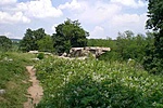 A libikóka