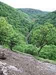 Kilátás