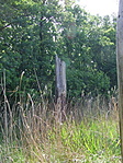 Csonk