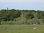 Kiindulópont
