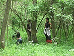 CU