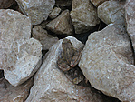 Látlak