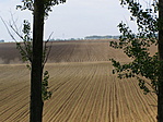 barázda