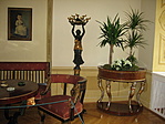 dracénák