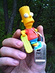 Simpson TB
