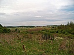 Bázis