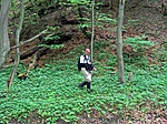 Lelcache in action