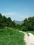 Kilátás