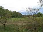 A környék