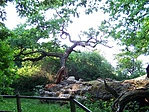 Megtörve