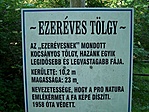 Tábla