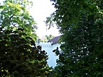 Pártázat-részlet