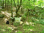 Életmentő forrás (BG pont)