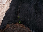 Csakazértis ÉLET