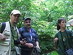 K.pisti, Luilui, Arrabona