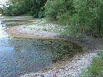 Érdekes kavicsos part