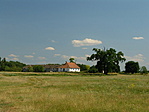 Tanyavilág