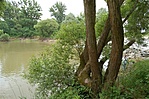A kincs felé