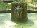 Vízköpő