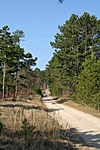 Úton