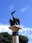 pelikán