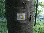 méretarány