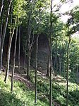 szikla