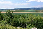 Panoráma