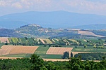 Panoráma