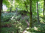 Barlang