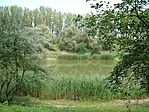 Horgászparadicsom